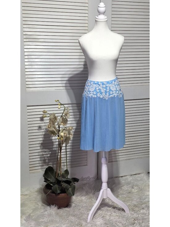 Carlisle Collection Dresses & Skirts - Carlisle Collection Womens Blue Pleated Embroidered White Floral Skirt Sz 4 3894